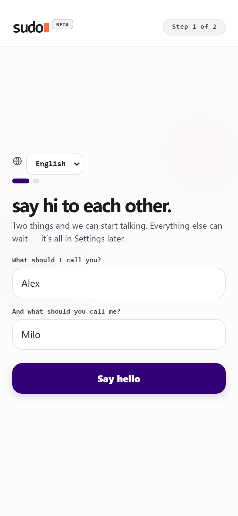 The sudo welcome screen asking what to call you and what you should call your agent.